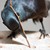 :iconyouve-got-me-shaken: