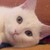 yowane-san22 :iconyowane-san22: