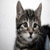 :iconyrf: