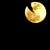 :iconysagosiengfiao: