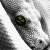 :iconyshynn: