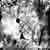 :iconYstery: