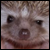 :iconytsejammer: