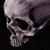 :iconyu-evara: