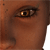 :iconyuansang: