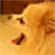 :iconyuchihmei: