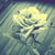 :iconyuiime: