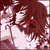 :iconyuki225: