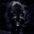 :iconyukiblackwolf: