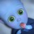 :iconyukichaaan: