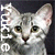 :iconyukiepants: