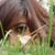 :iconyukii93: