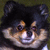 :iconyukija: