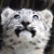 :iconyukiko-tigress: