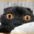 :iconyukiko28: