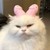 yukiku :iconyukiku: