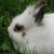 :iconyukio-chan03: