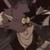 :iconyukishirafune: