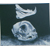 :iconyulianferenczy: