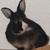 :iconyume-kaze: