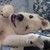 yumehime5 :iconyumehime5: