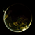 :iconyumeji-element: