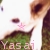 :iconyumemiruyasai: