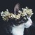 YumeStrife19 :iconyumestrife19: