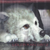 :iconyumi-kiddo: