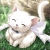 :iconyumiii: