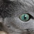 :iconyummicho: