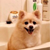 :iconyumor: