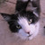 :iconyuna-kisa: