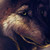 :iconyuntalikawerewolf: