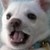 :iconyura-tori-kiosure: