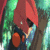 :iconyuseirosesmellfudo: