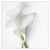 :iconyusufsehrazatoglu: