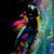 :iconyutte007: