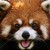 :iconyuvel: