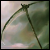 :iconyuvi-16:
