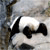 :iconyuvia:
