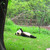 :iconyuyuanhang: