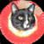 :iconyvannaw: