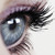:iconyvonnephotography:
