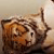 :iconyxkill: