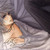 :iconz3ro-13: