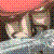 :iconz4kn4f31n: