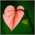 :iconz5at: