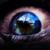 :iconZ-a-n-i-a-n: