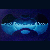 :iconz-cat: